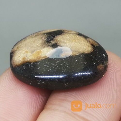 Batu Fosil Galih Kelor Asli Surakarta Jualo Batu Fosil Galih Kelor Asli Surakarta Jualo