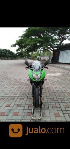 Kawasaki Ninja 250 Mono