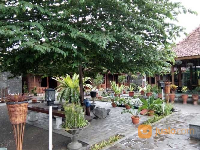 Homestay Etik Dan Mewah Dijalan Kaliurang Km 12 Sleman