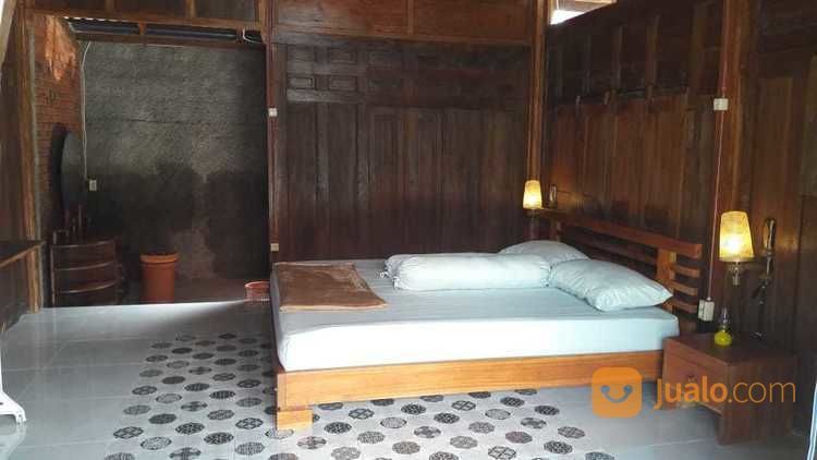 Homestay Etik Dan Mewah Dijalan Kaliurang Km 12 Sleman