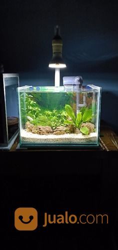 Aquascape Nano Ukuran T28xl16xt20 Bekasi Jualo