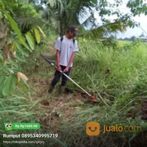 Jasa Potong Rumput Tangerang