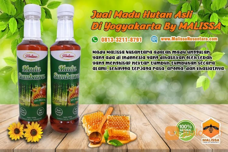 Madu Asli Madu Hutan Sumbawa Di Jogja Yogyakarta By Malissa Di Kota Yogyakarta Yogyakarta