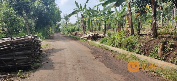 Tanah Pekarangan Murah