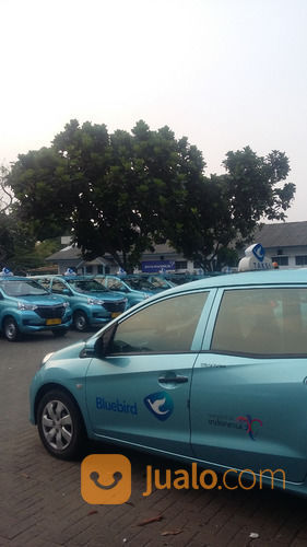 LOWONGAN KERJA SUPIR TAKSI BLUE BIRD
