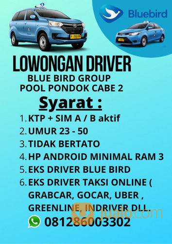 LOWONGAN KERJA SUPIR TAKSI BLUE BIRD