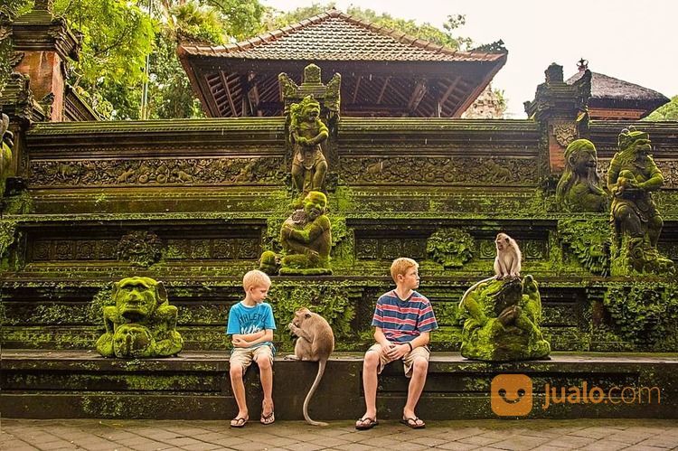 Ubud Monkey Forest Tour