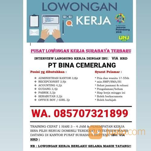 Loker Admin Surabaya Surabaya Jualo