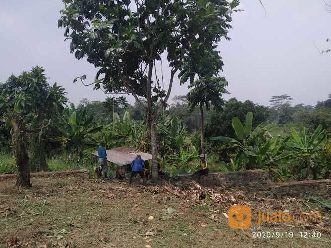 Tanah 665 M Pinggir Jalan Raya Dekat Kampus New Untirta Sindangsari