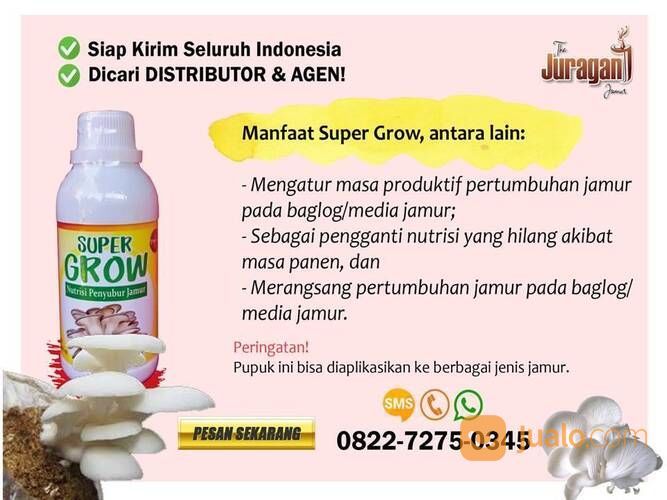 Distributor Zat Organik Mengatur Baglog Jamur Tiram Makassar Palopo, di