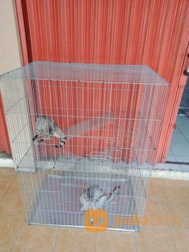 Kandang Kucing 3 Tingkat 4 Lantai di Kab. Bantul, Yogyakarta 