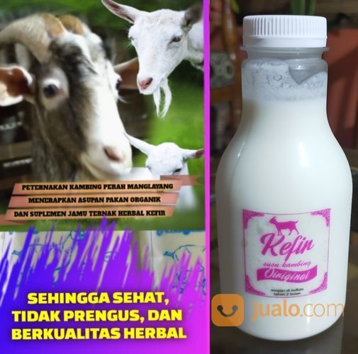 SUSU KEFIR DI BANDUNG