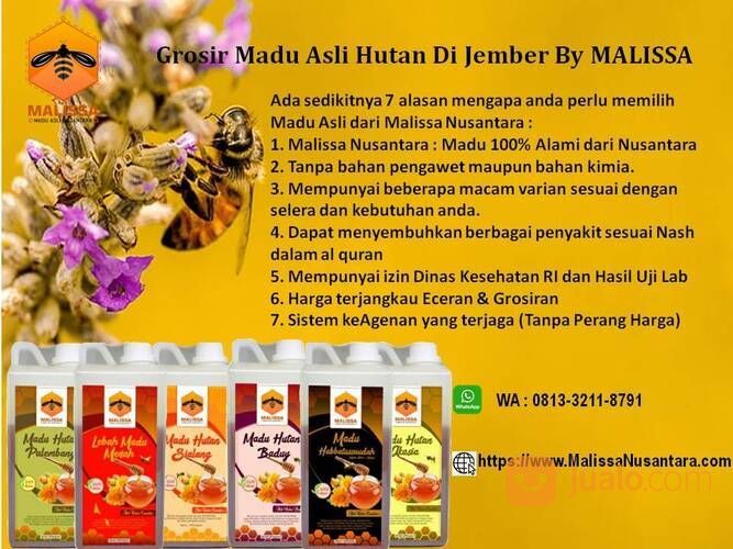 Grosir Wa 0813 3211 8791 Tsel Produsen Sarang Lebah Madu Asli Di Jember By Malissa Di Kab Jember Jawa Timur Jualo Com