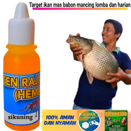 Essen Ikan Mas Paling Jitu Dan Gacor Untuk Mancing Lomba Dan Harian Semua Jenis Umpan Dan Cuaca Di Kota Jakarta Pusat Dki Jakarta Jualo Com