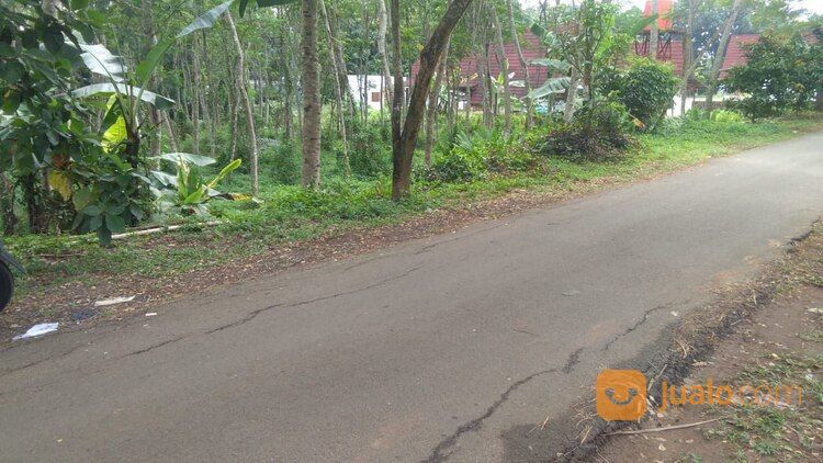 TANAH 2 HEKTAR DEKAT POLSEK GUNUNG PATI DI GUNUNGPATI SEMARANG