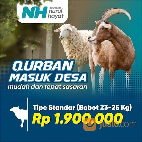 Kambing Qurban Hanya 1.9 Juta