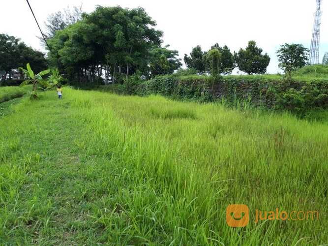 Tanah Grati Pasuruan Nol Jalan Raya Cocok Untuk Dibangun Ruko di Kab