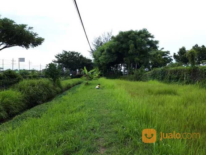 Tanah Grati Pasuruan Nol Jalan Raya Cocok Untuk Dibangun Ruko di Kab