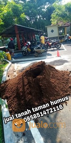 Tanah Subur Di Batu Media Tanah Taman Dari Malang