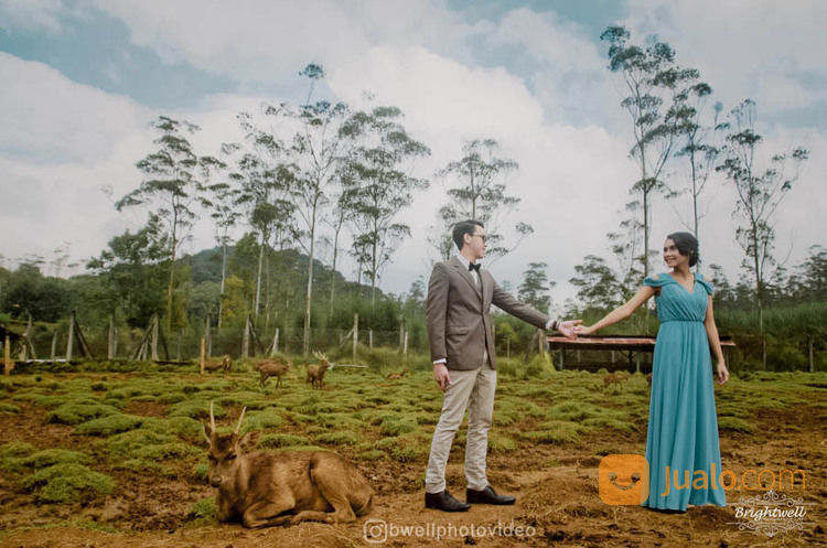 Jasa Foto Video Wedding Prewed Lamaran Tunangan Siraman 7 Bulanan Jabodetabek