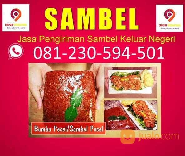 WA : 081 230 594 501, Jasa Pengiriman Hewan Dari Luar Negeri