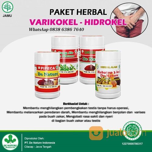 Obat Tradisional Buah Zakar Bengkak Testis Sebelah Kiri Tanpa Operasi Ampuh Dengah Herbal De Nature Di Kab Bulukumba Sulawesi Selatan Jualo Com