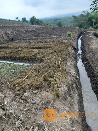 Tanag Luas Subur Cocok Untuk Pertanian Di Torongrejo Batu