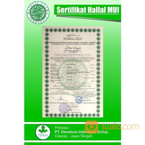 Pilihan Obat Hernia Di Apotik Paling Ampuh Sembuh Tanpa Operasi