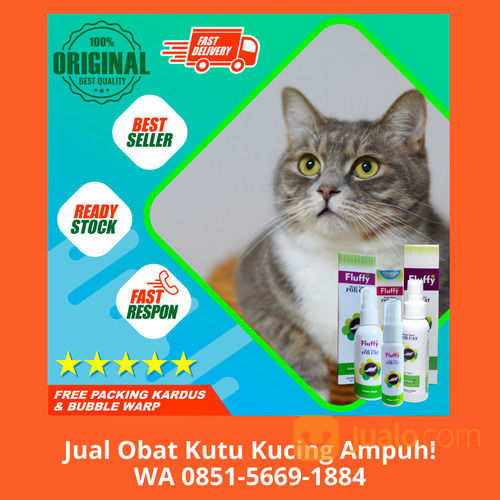 TERBAIK!! WA 0851-5669-1884, Agen Obat Kutu Kucing Kitten Di 