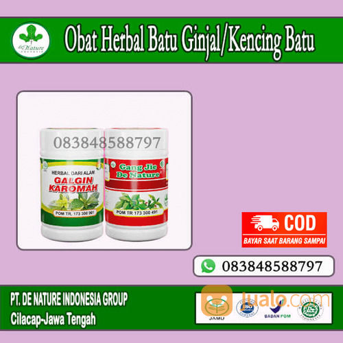 Merk Obat Batu Ginjal Di Apotik Kimia Farma Yang Paling Bagus Dan Ampuh