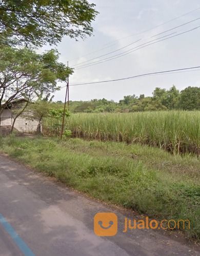 Tanah Nol Jalan Raya Grati Pasuruan Dekat Pabrik Gula Kedawung