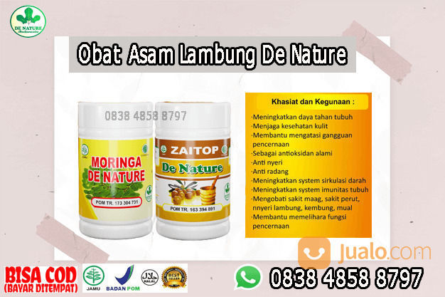 Obat Sesak Nafas Karena Lambung Di Apotik