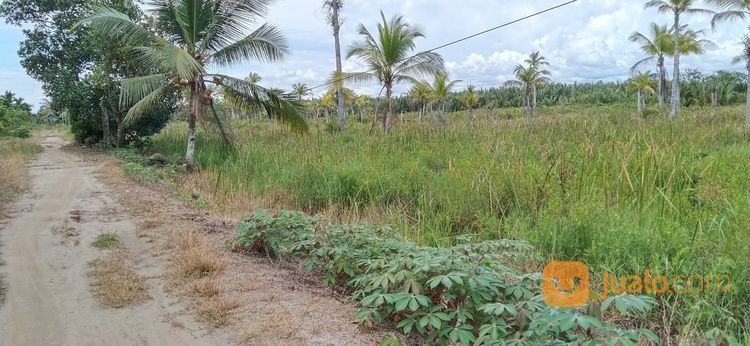 Tanah Jalan Tanggul Laut Sungai Rengas Kabupaten Kubu Raya Kota Pontianak Kalimantan Barat