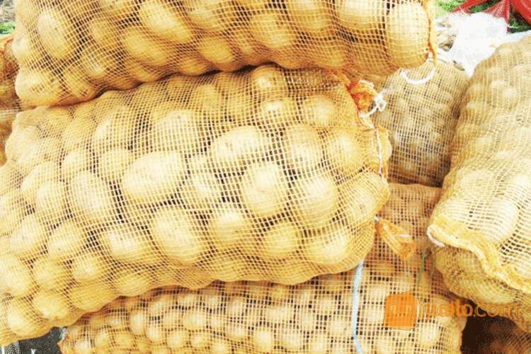 Karung Waring Sayur Harga Termurah, Banyak Pilihan Warna & Ukuran