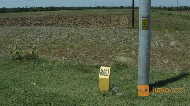 Tanah Sawah Pecangaan Jepara SHM