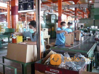STAFF PACKING LULUSAN SM / M / MA