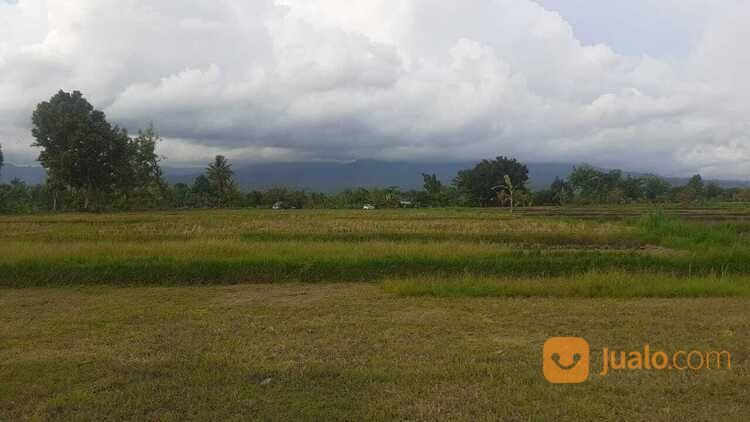 Tanah Di Karang Bayan Lingsar