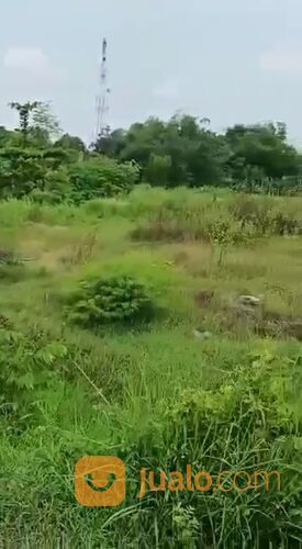 Tanah Pinggir Jalan Raya Tol Grati Pasuruan Hook Depan RSUD Grati di Tanah Pinggir Jalan Raya Tol Grati Pasuruan Hook Depan RSUD Grati di