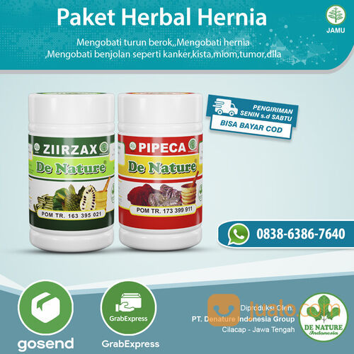 Obat Hernia Apotik Usus Turun Peranakan Varikokel 100% Alami Aman Tanpa Efek Samping
