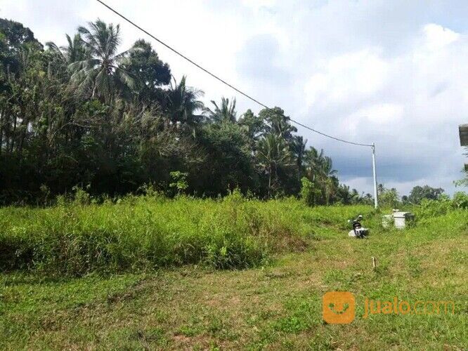 Tanah Kavling Jalan Wisnu Marga Tabanan Murah