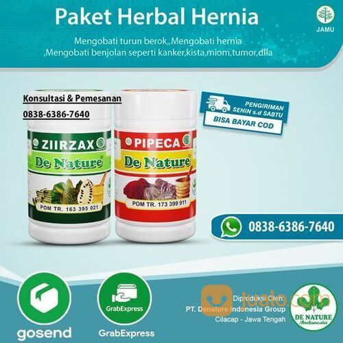 Obat Turun Berok Di Apotik K24, Atasi Usus Turun Dengan Herbal