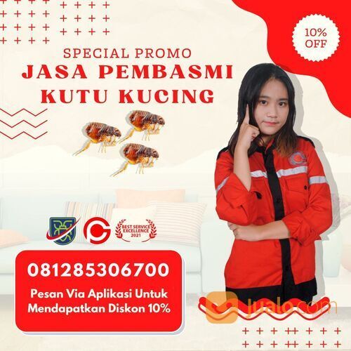 HP 081285306700 Jasa Pembasmi Kutu Kucing di Jogja - Garda Pest Jogja