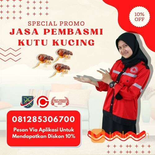 HP 081285306700 Jasa Pembasmi Kutu Kucing di Jogja - Garda Pest Jogja