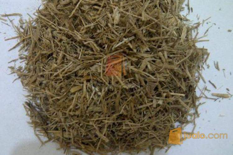 Dijual Sugarcane Bagasse atau Ampas Tebu  Kualitas Ekspor  