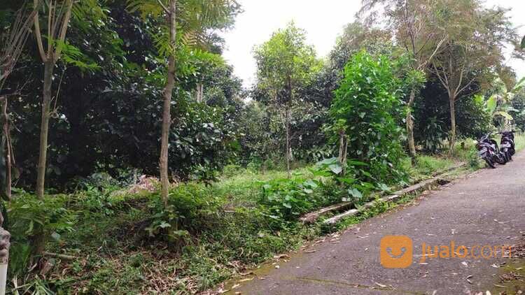 Tanah kebun pinggir jalan Desa wisata Kiarapedes Wanayasa Purwakarta di