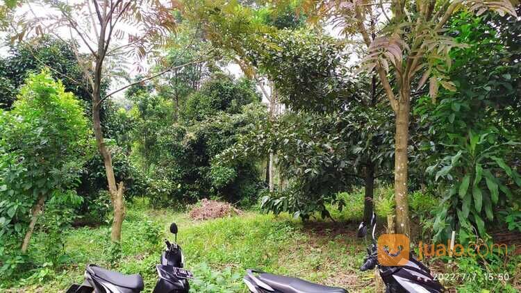 Tanah kebun pinggir jalan Desa wisata Kiarapedes Wanayasa Purwakarta di