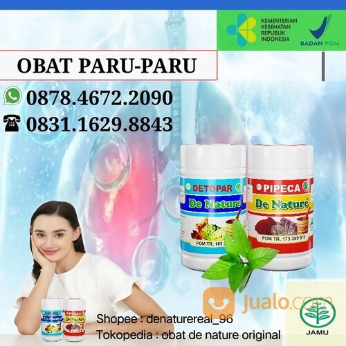 Urutan Gambar untuk kumpulan tanaman obat paru paru yang paling mudah