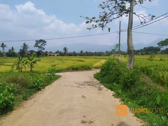 Dekat Alun-alun Ciparay, Tanah Murah SHM : Dapat Cicil