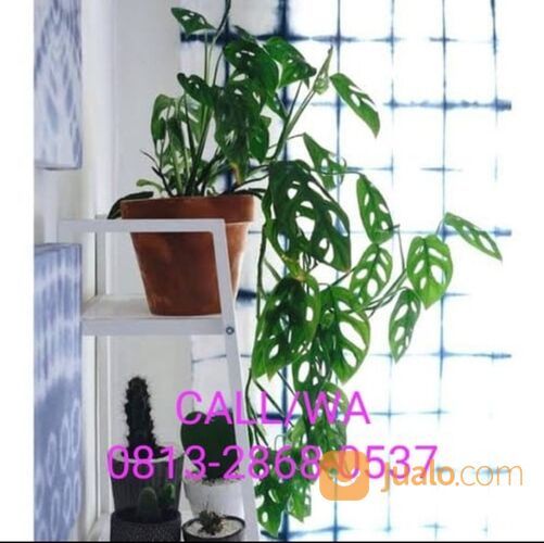 Produsen Rak Bunga Janda Bolong KUALITAS TERBAIK CALL 0813-2868-0537, Rak Bunga Janda Bolong