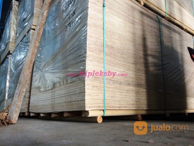 tebal 3mm 4mm 5mm 8mm 9mm 12mm 15mm 18mm Triplek Plywood Surabaya cor proyek